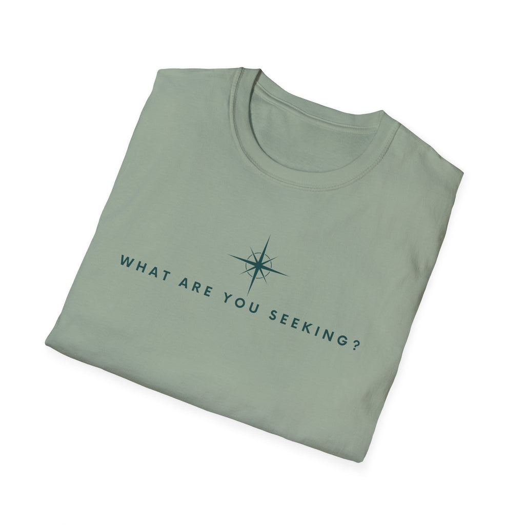 What are you seeking?  T-Shirt