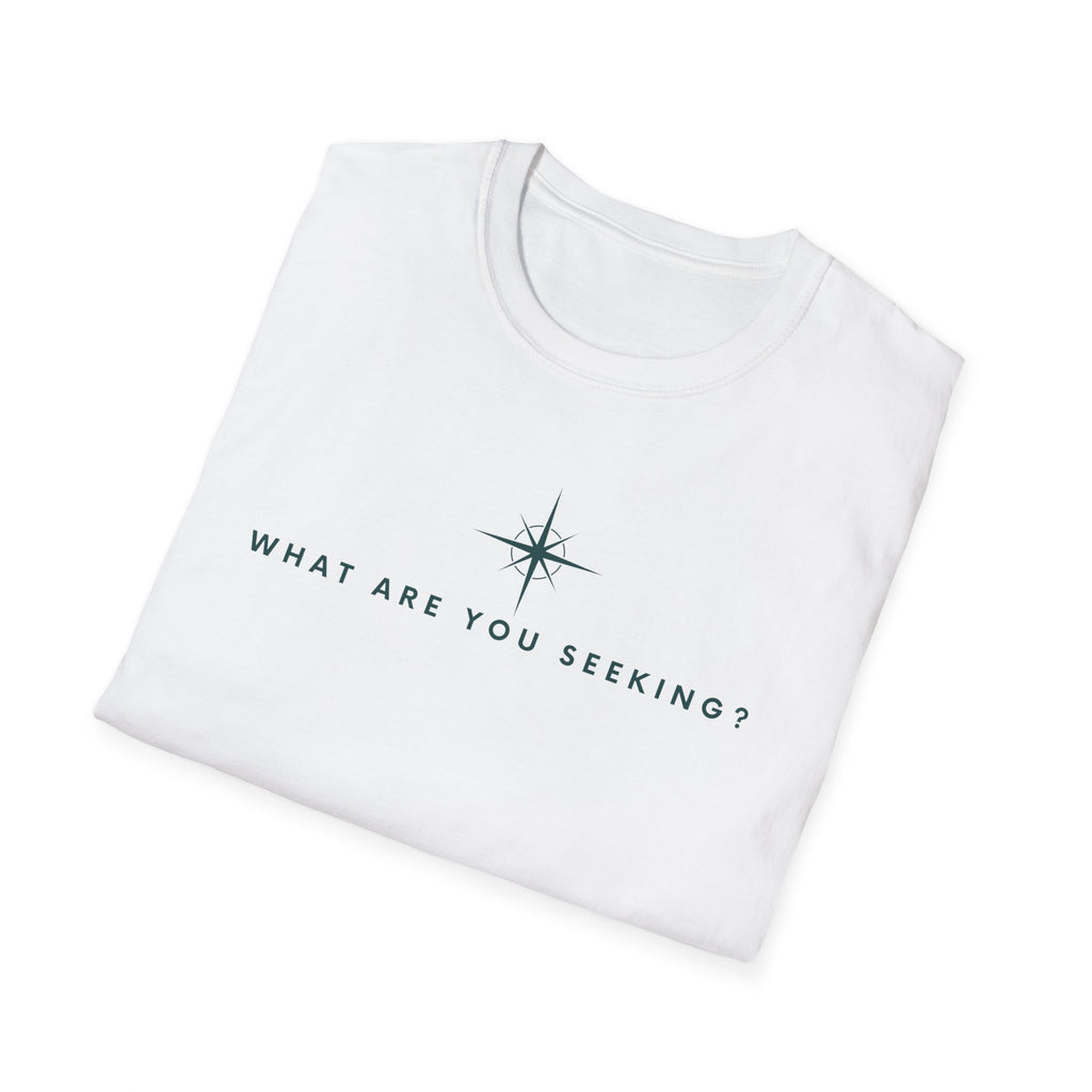 What are you seeking?  T-Shirt