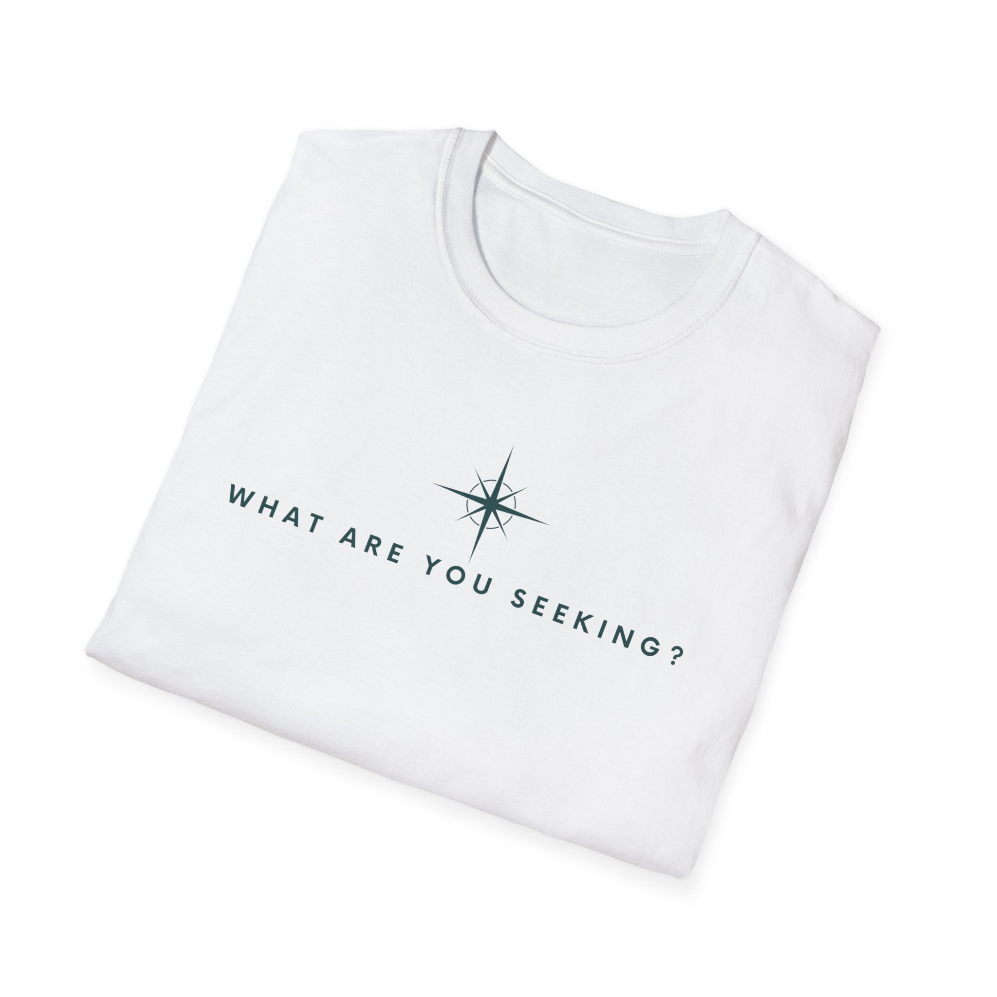 What are you seeking?  T-Shirt