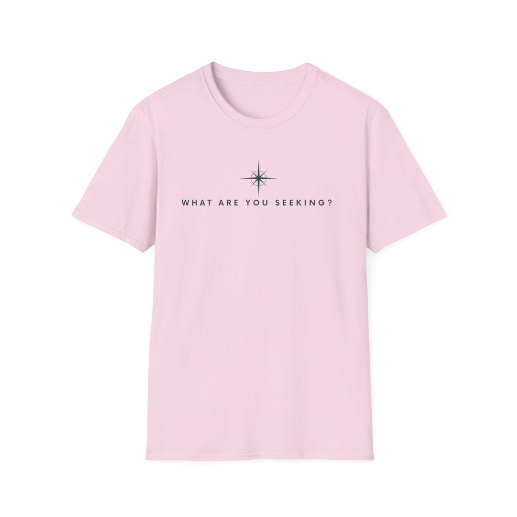 What are you seeking?  T-Shirt