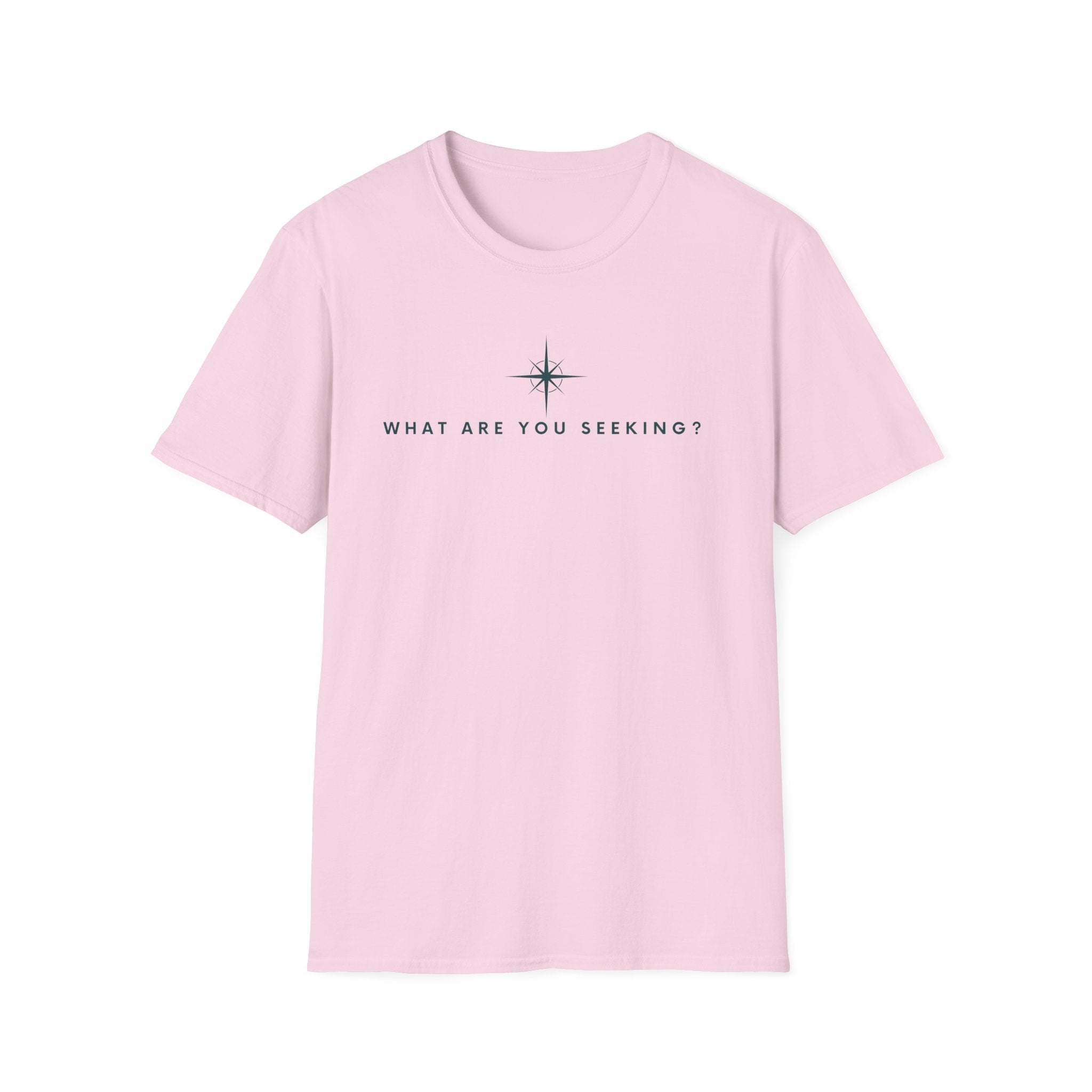 What are you seeking?  T-Shirt