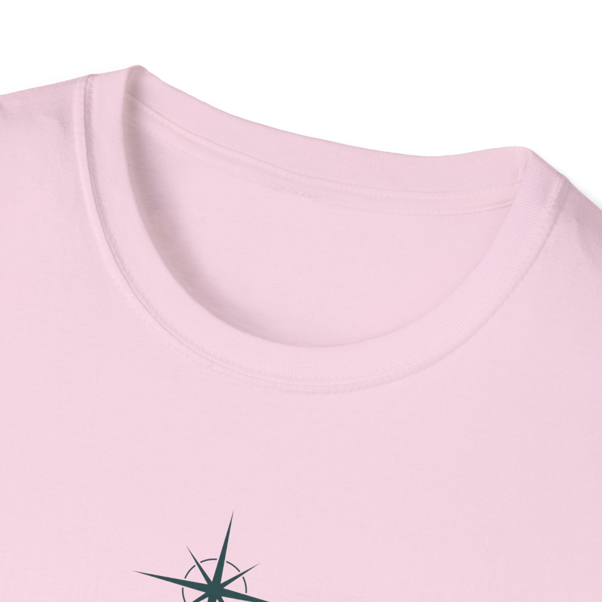 What are you seeking?  T-Shirt