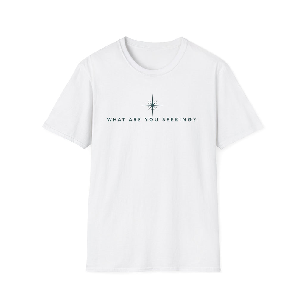 What are you seeking?  T-Shirt