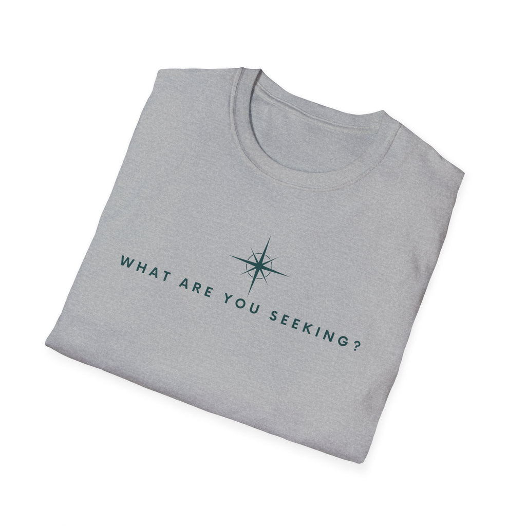 What are you seeking?  T-Shirt