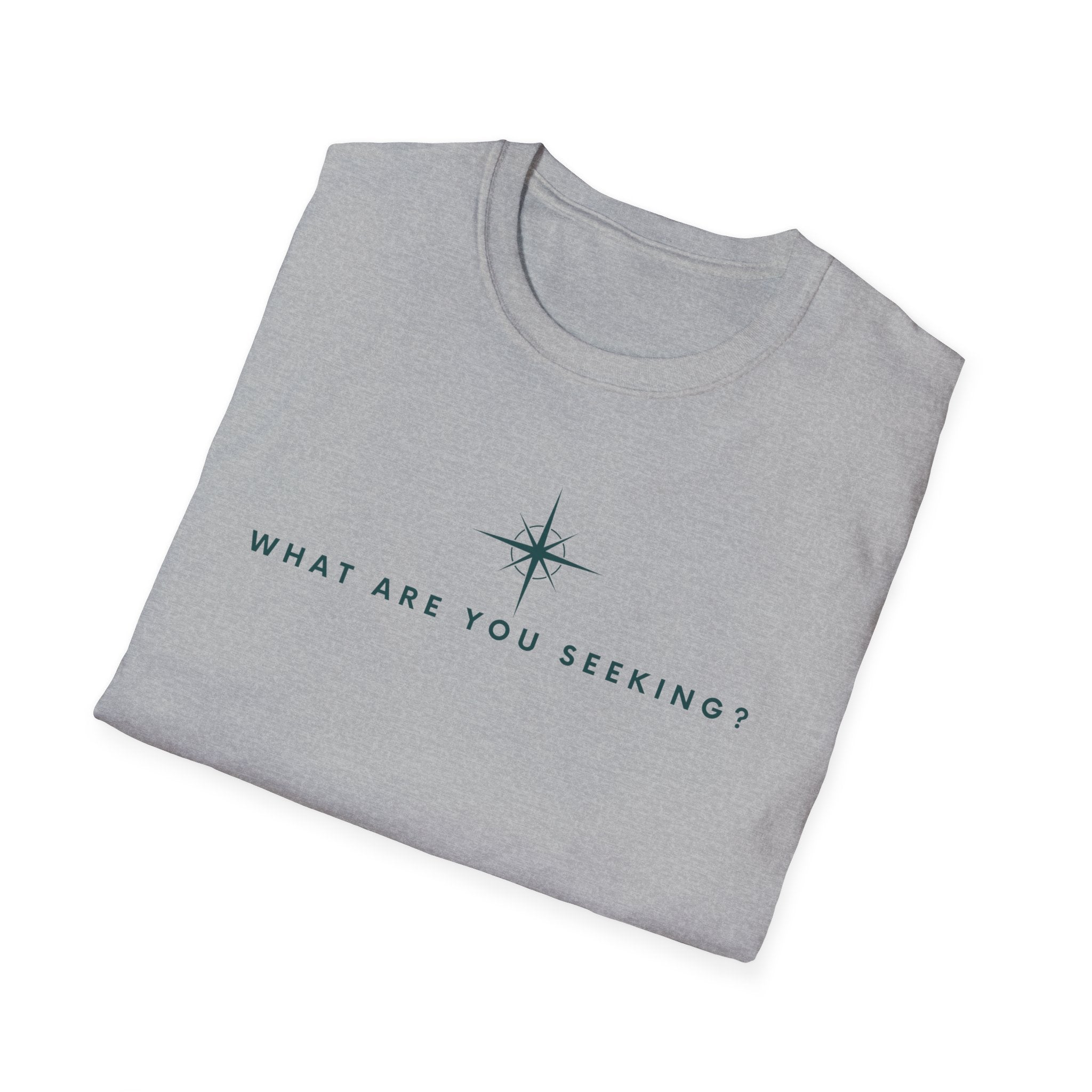 What are you seeking?  T-Shirt