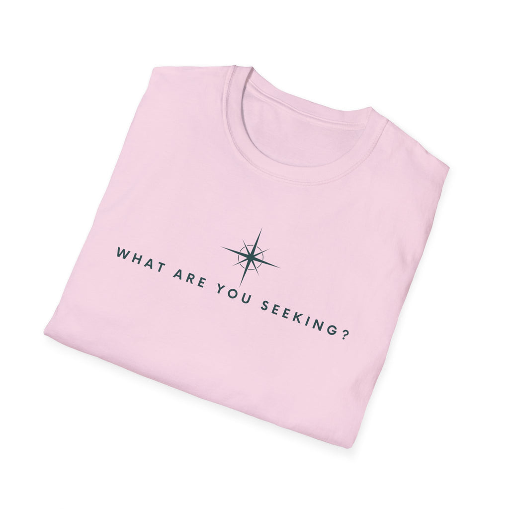 What are you seeking?  T-Shirt
