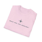 What are you seeking?  T-Shirt