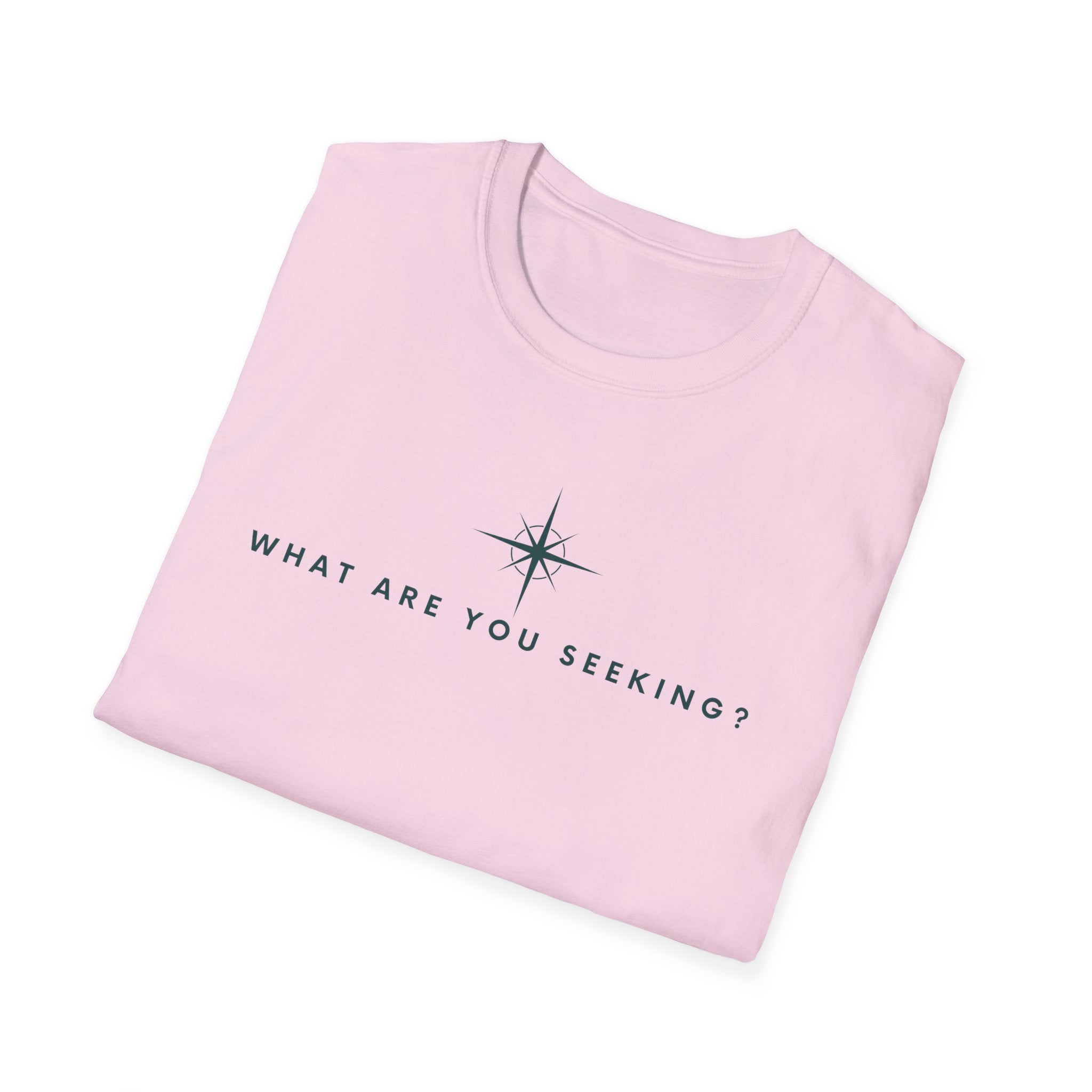 What are you seeking?  T-Shirt