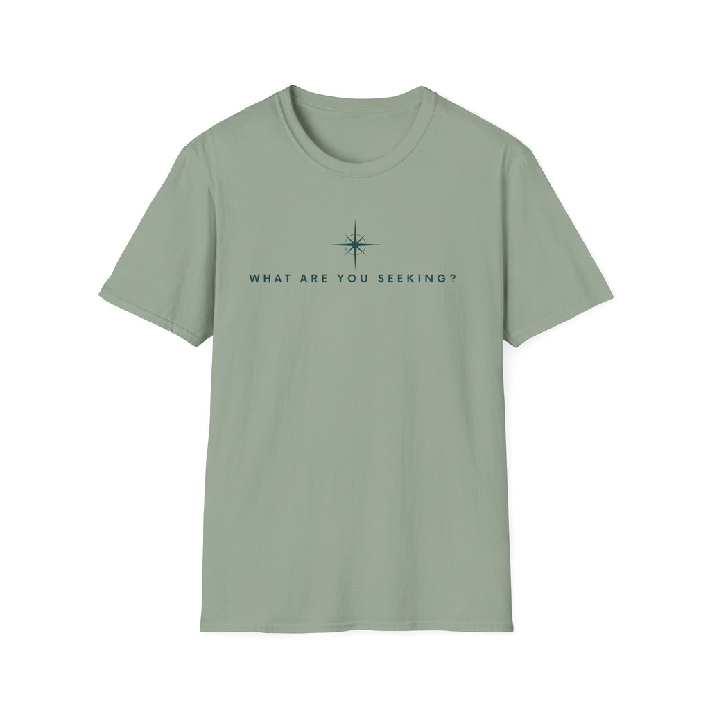 What are you seeking?  T-Shirt