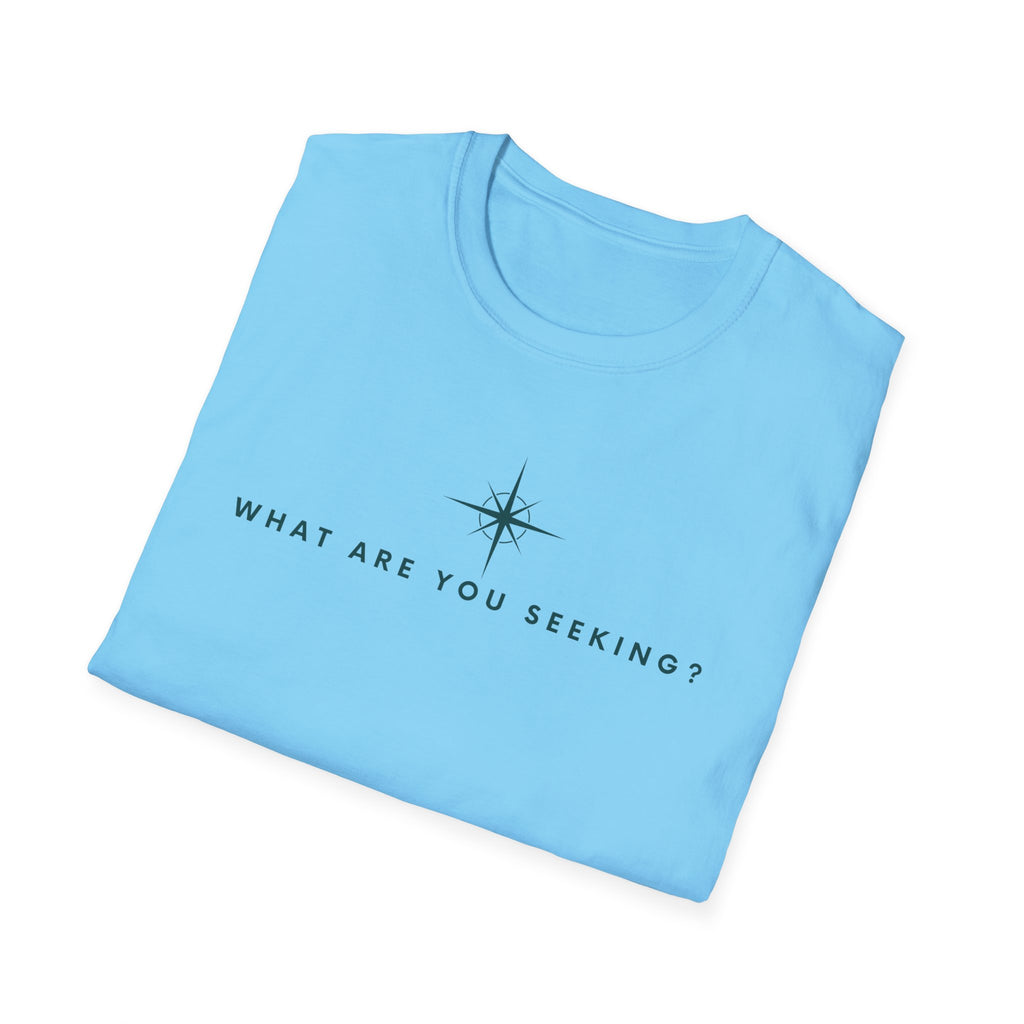 What are you seeking?  T-Shirt