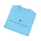 What are you seeking?  T-Shirt